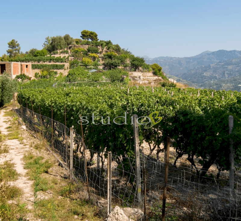 Vrijstaande woning in San Biagio della Cima