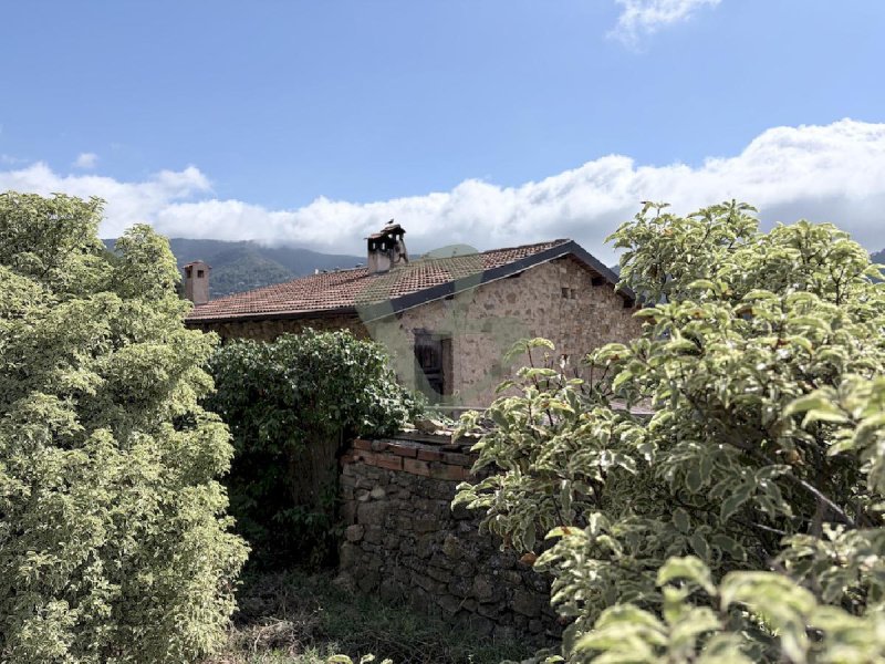 Maison à Vallebona