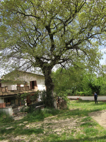 Сельский дом в Чивителла-Казанова