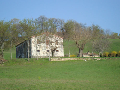 Casa di campagna a Cupramontana