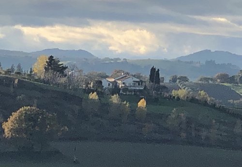 Lantställe i Serra de' Conti