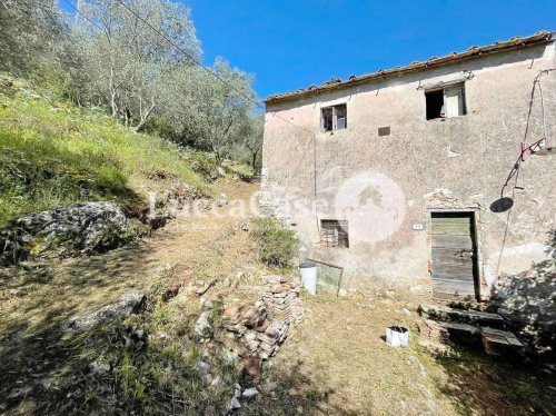 Detached house in Lucca