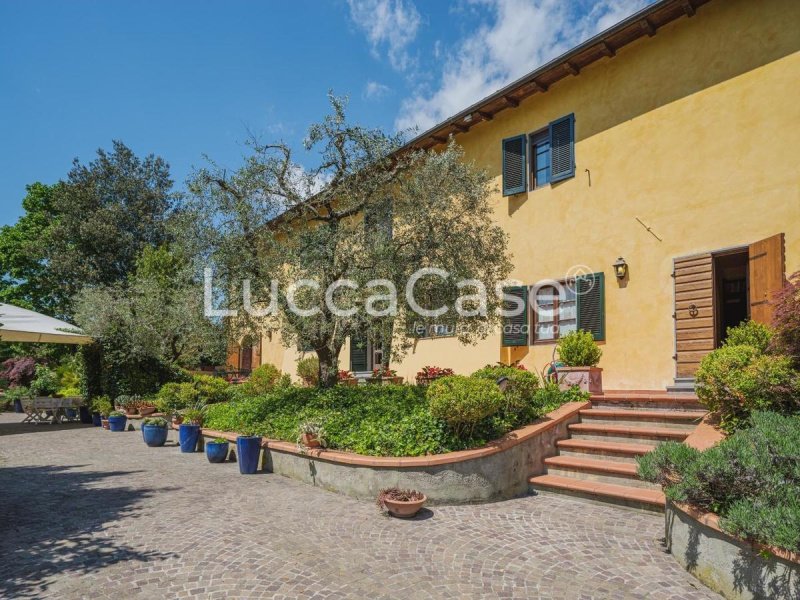 Lantställe i Capannori