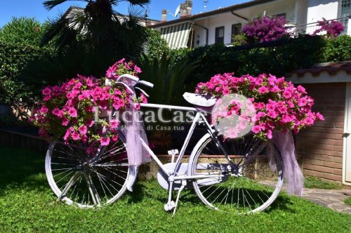 Terraced house in Viareggio