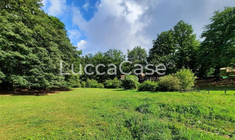 Hus från källare till tak i Villa Basilica