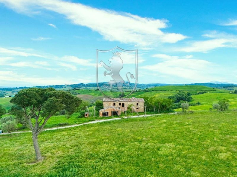 Ferme à Torrita di Siena