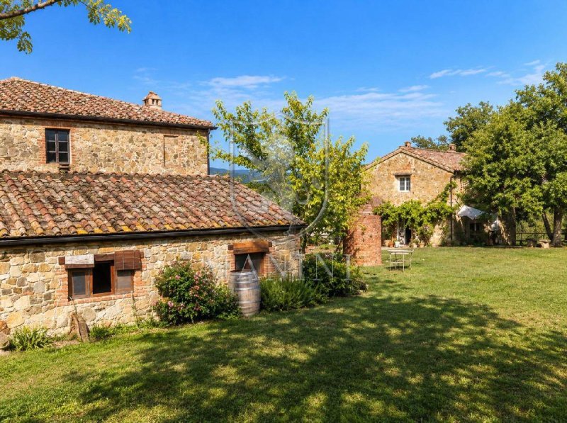 Lantställe i Montalcino