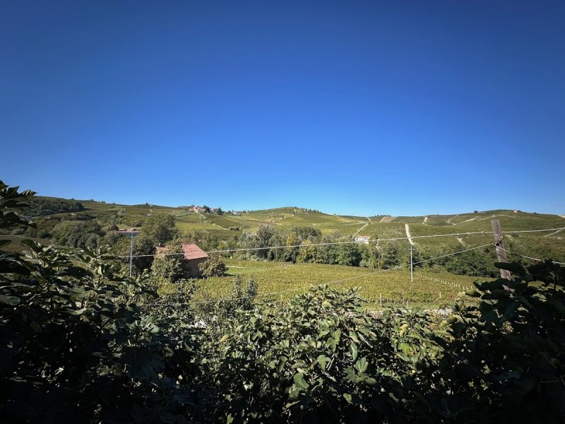 里卡尔多内房屋