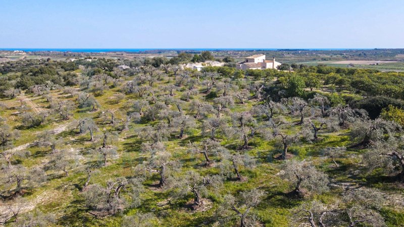 Landwirtschaftliche Fläche in Noto