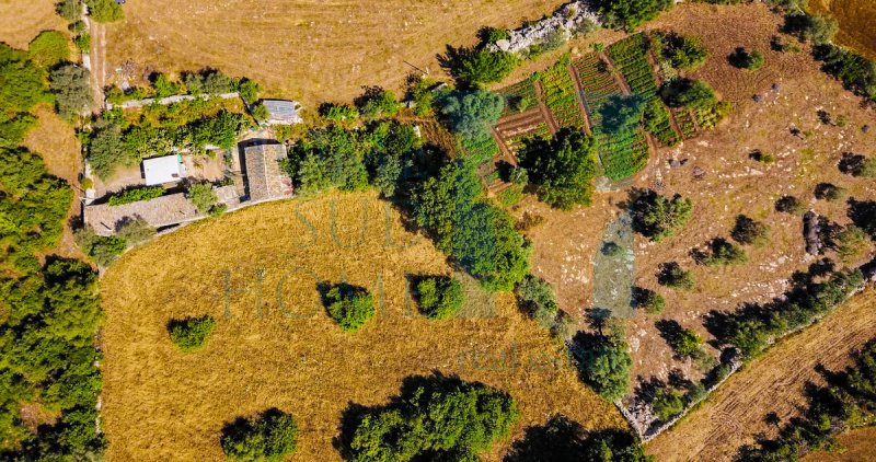 Country house in Noto