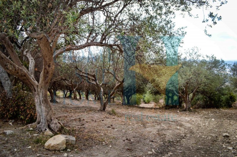 Huis op het platteland in Noto