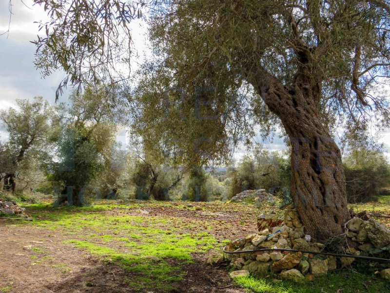 Hus på landet i Noto