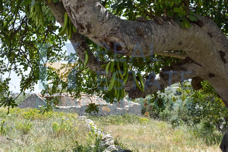 Klein huisje op het platteland in Modica