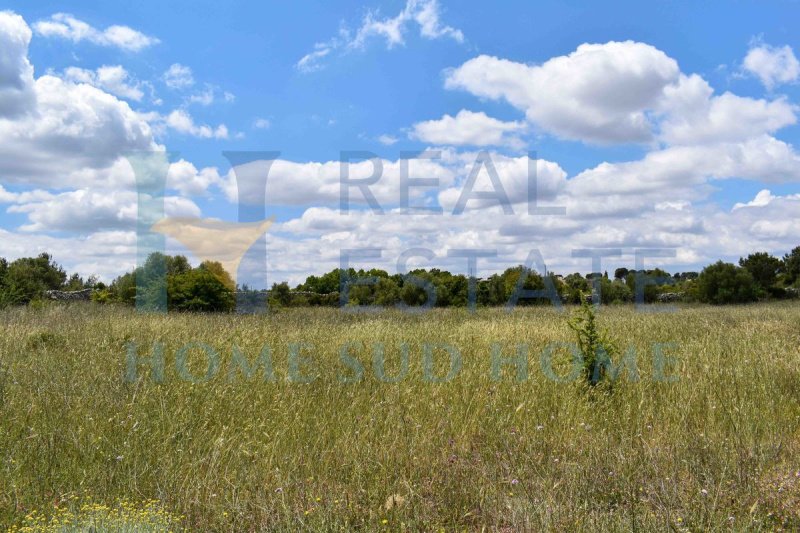 Building plot in Noto