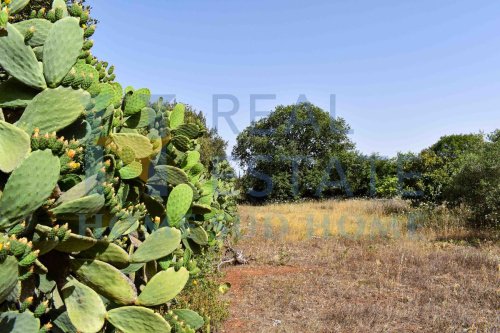 Terreno edificable en Palazzolo Acreide