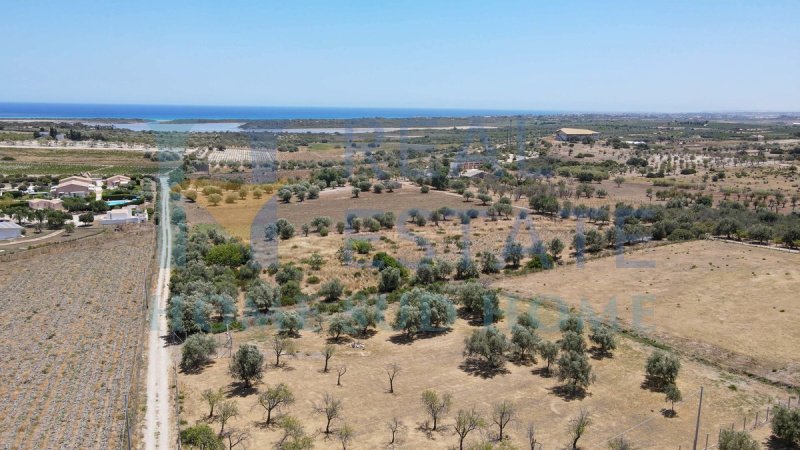 Building plot in Noto