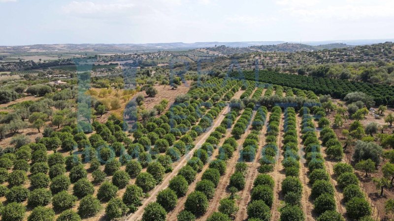 Terrain à bâtir à Noto