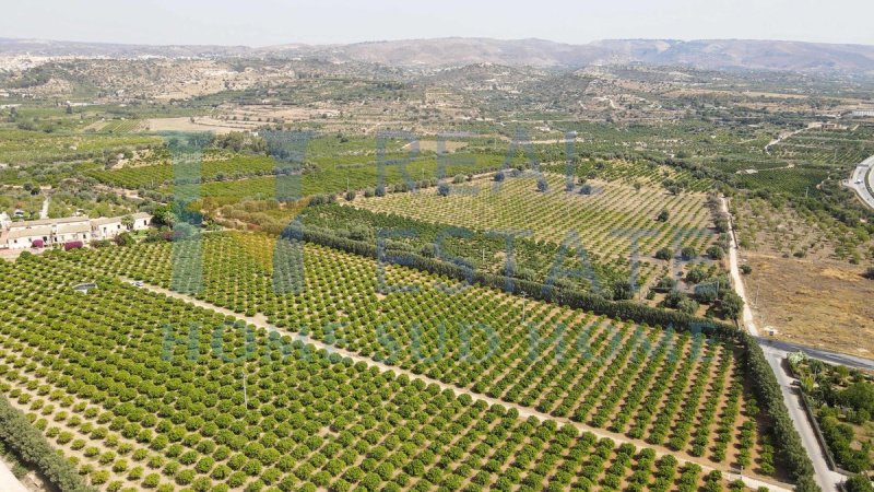 Terreno edificabile a Noto