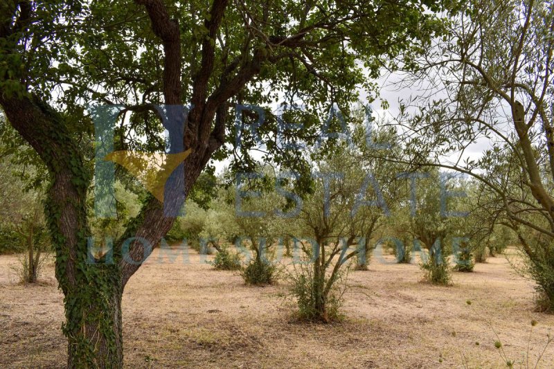 Bouwgrond in Noto