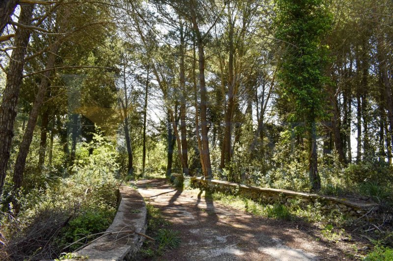 Casa di campagna a Palazzolo Acreide