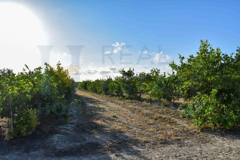 Terreno para construção em Noto