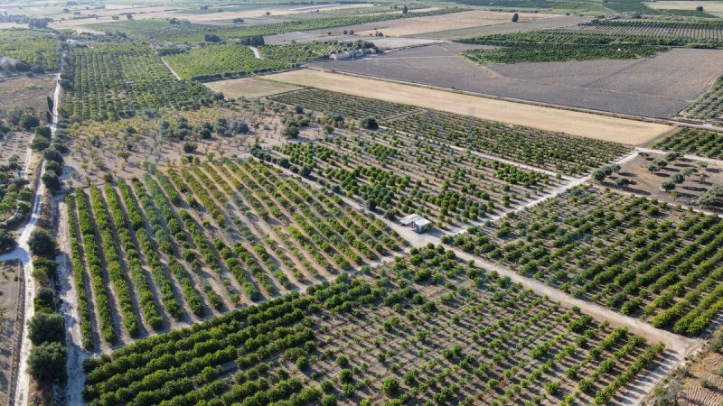 Terreno para construção em Noto