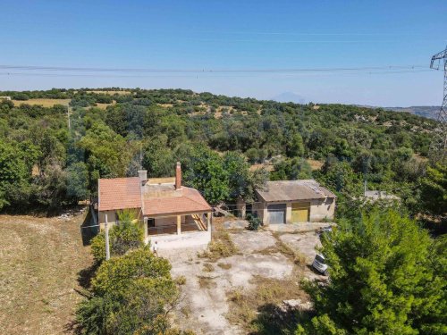 帕拉佐洛-阿克雷德别墅