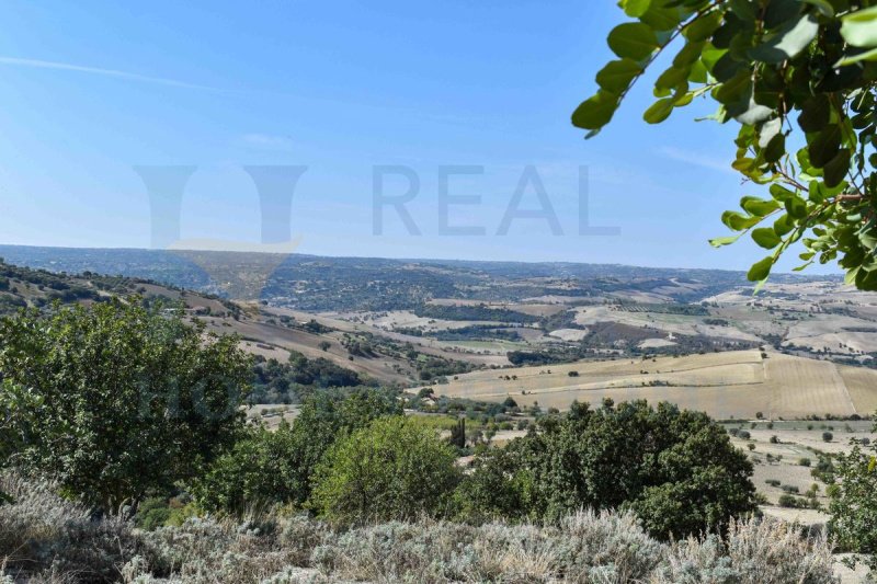 Отдельно стоящий дом в Ното