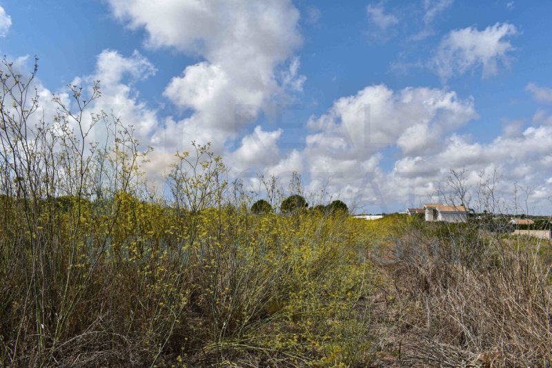 Terreno a Noto