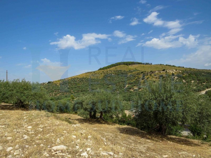 Lantställe i Buccheri