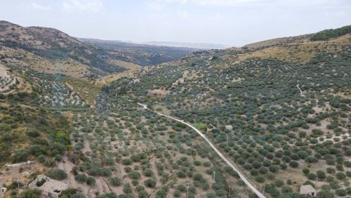 Lantställe i Buccheri