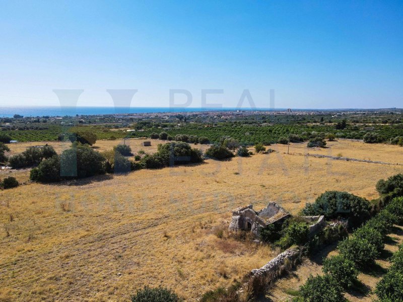 Отдельно стоящий дом в Авола