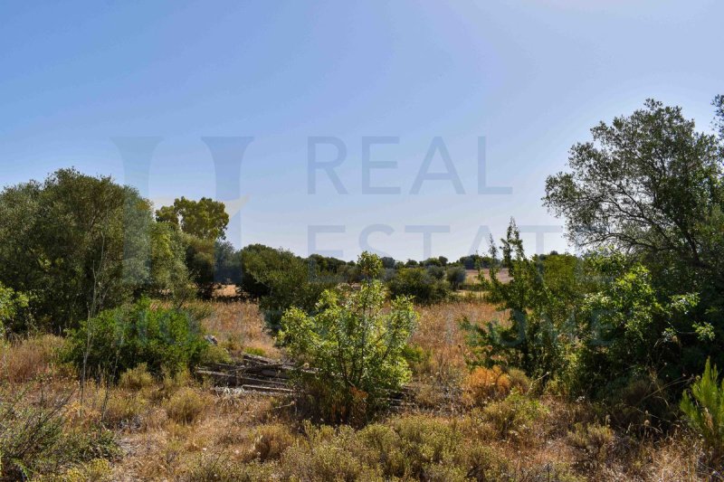 Huis op het platteland in Noto