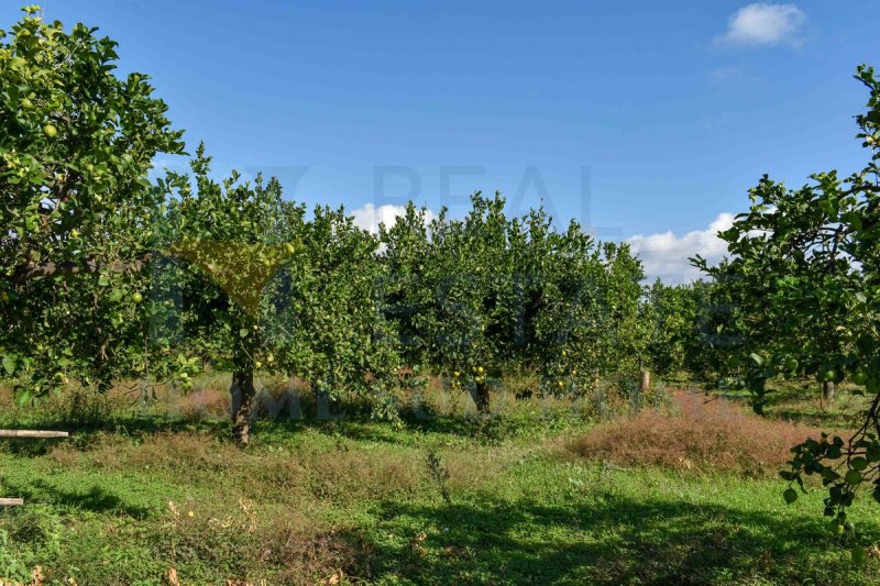 Строительный участок в Ното