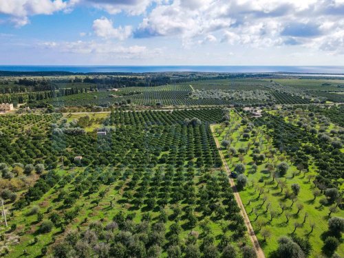 Terreno edificabile a Noto