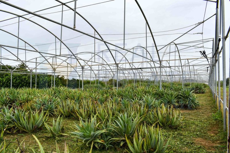 Villa in Portopalo di Capo Passero