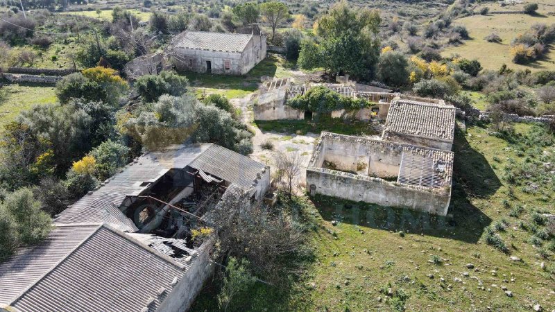 Сельскохозяйственная ферма в Ното