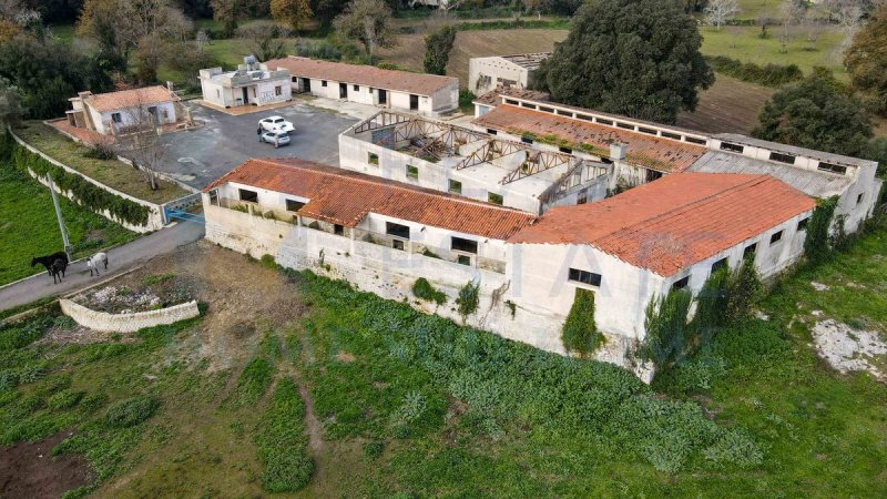 Вилла в Ното