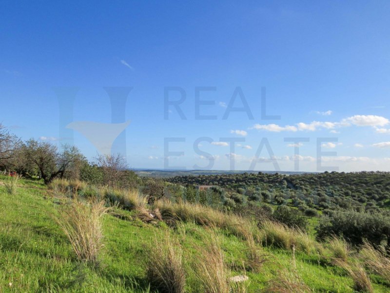 Building plot in Noto