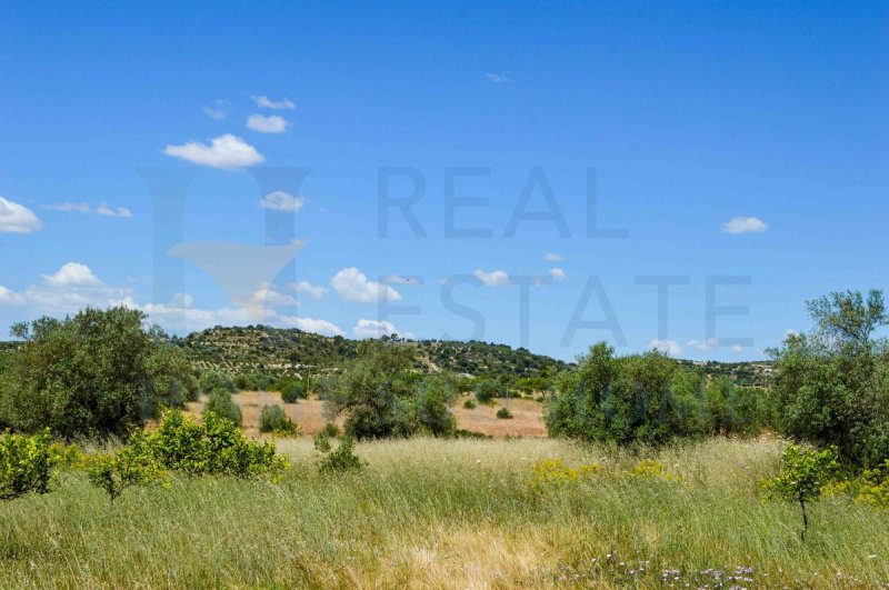Terreno edificable en Noto