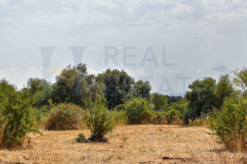 Terreno edificable en Canicattini Bagni