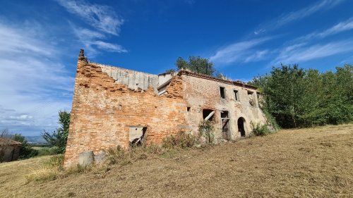 Lantställe i Castiglion Fiorentino