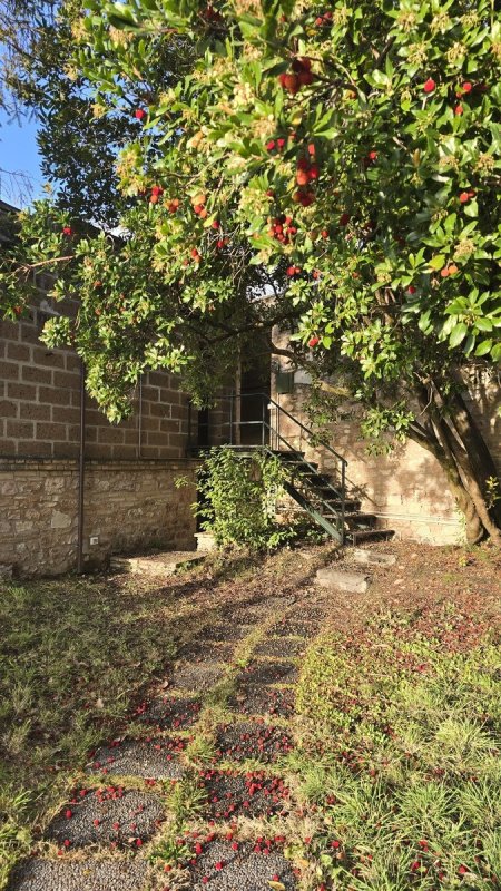 Appartement in Spello