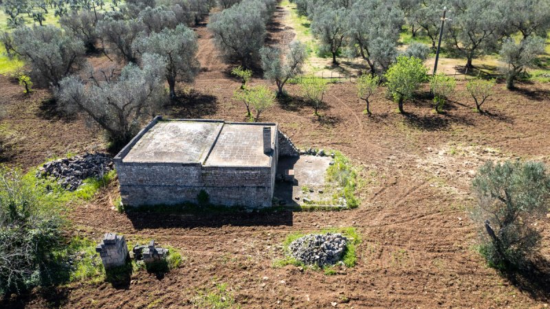 Trulli in San Michele Salentino