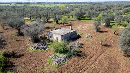 Trulli in San Michele Salentino