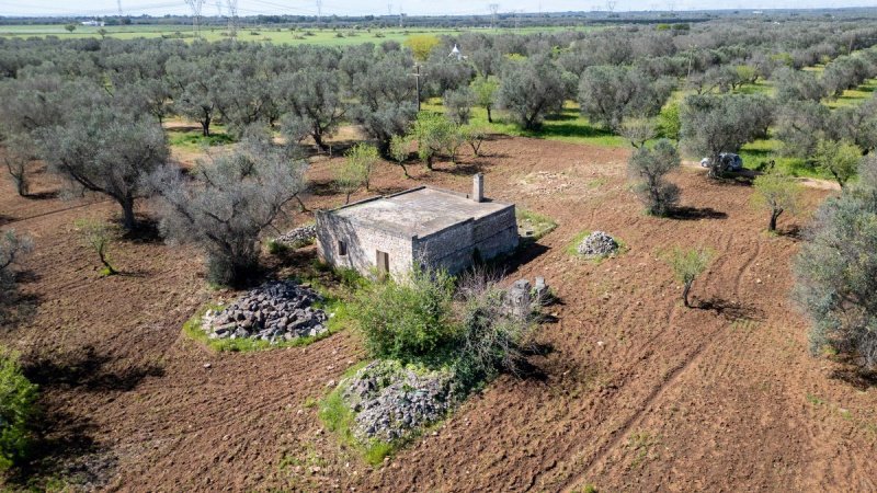 Trulli in San Michele Salentino