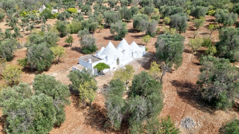 切列梅萨皮卡特魯洛