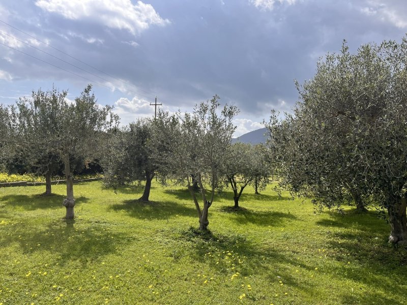 Country house in Villaputzu