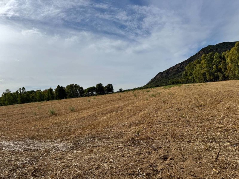 Jordbruksmark i San Vito