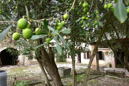 Lantställe i Santa Lucia di Piave